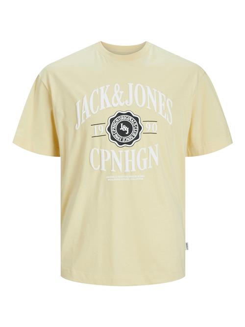 Se JACK & JONES Bluser & t-shirts 'Lucca'  pastelgul / sort / hvid ved About You