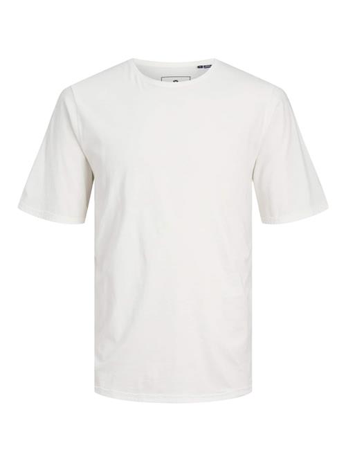 JACK & JONES Bluser & t-shirts 'JPRBlurydes'  hvid