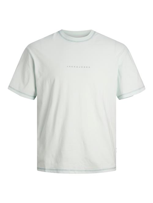 JACK & JONES Bluser & t-shirts 'JORMarbella'  opal / pastelgrøn