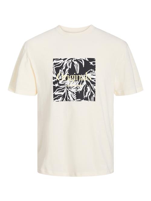 JACK & JONES Bluser & t-shirts 'Lafayette'  creme / sort / hvid