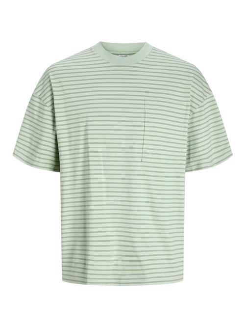 JACK & JONES Bluser & t-shirts 'JCOTanical'  pastelgrøn / sort