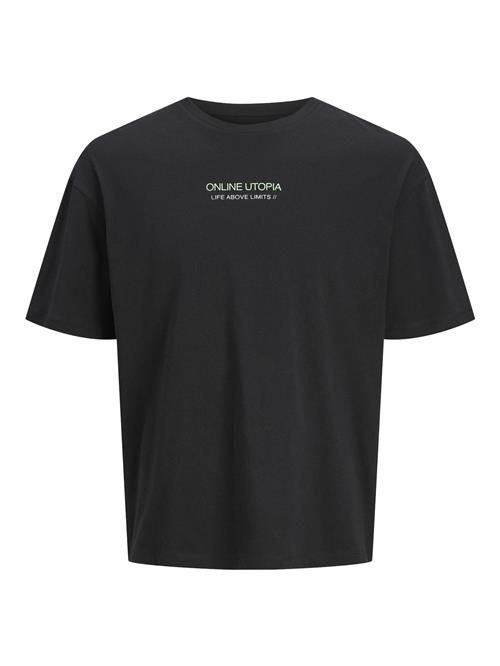 JACK & JONES Bluser & t-shirts  blå / grøn / sort / hvid