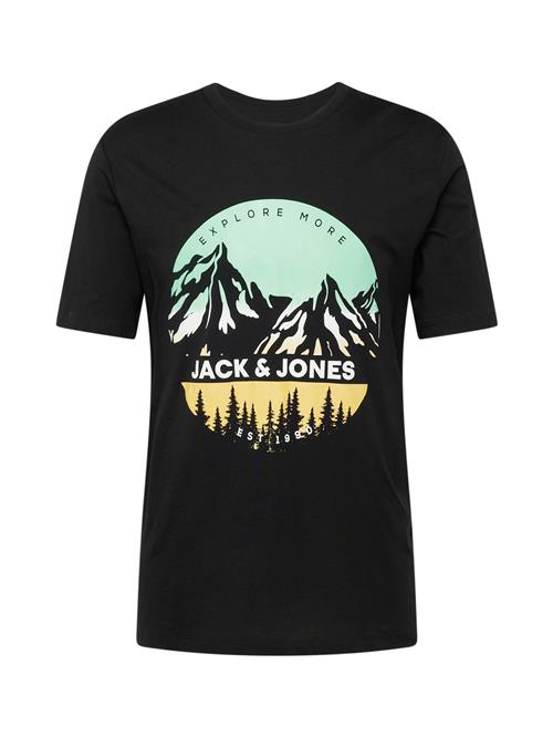 JACK & JONES Bluser & t-shirts 'JJPEAK'  pastelgul / mint / sort / hvid