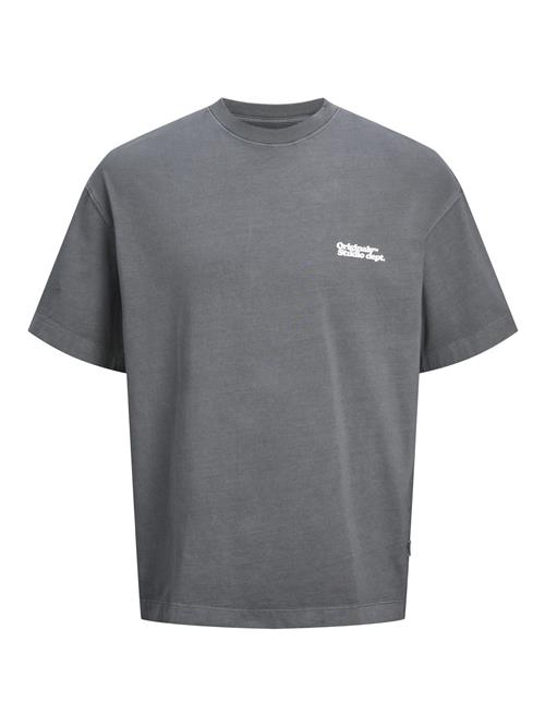 JACK & JONES Bluser & t-shirts  grå / offwhite