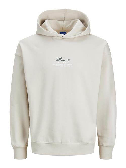 Se JACK & JONES Sweatshirt 'JORCapital'  sand / marin / hvid ved About You