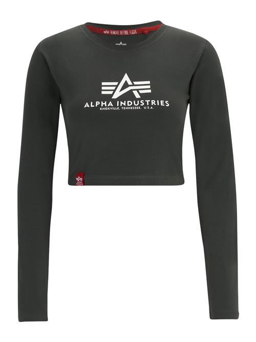 ALPHA INDUSTRIES Shirts  antracit / hvid