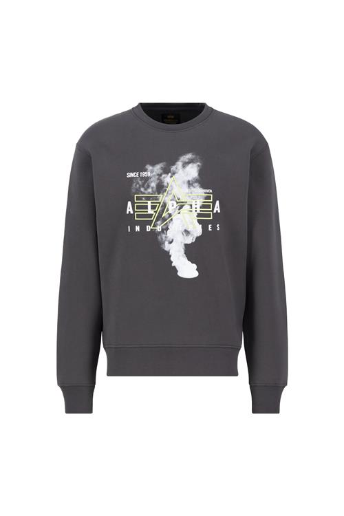 Se ALPHA INDUSTRIES Sweatshirt  grå / hvid ved About You