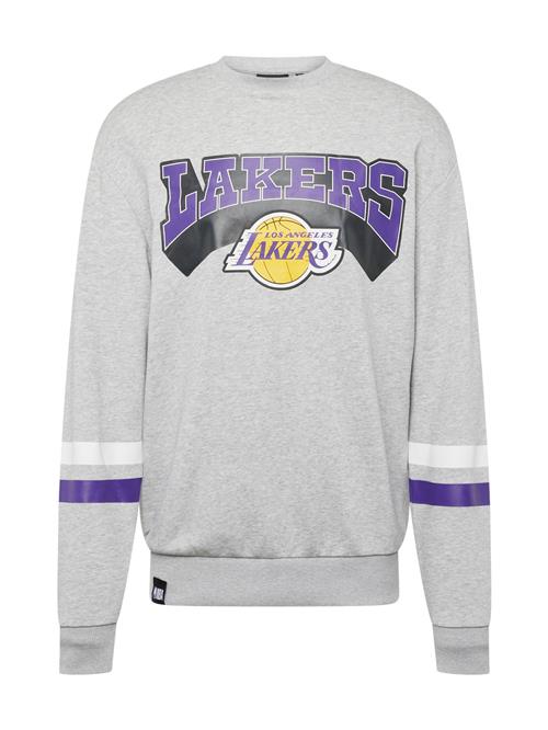 NEW ERA Sweatshirt 'WORLD SERIES'  curry / grå / violetblå / sort