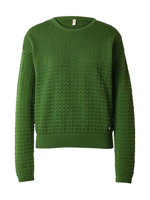 Blutsgeschwister Pullover  grøn