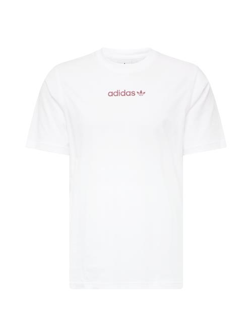 ADIDAS ORIGINALS Bluser & t-shirts  cyclam / hvid