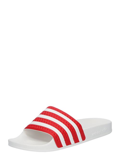 ADIDAS ORIGINALS Pantoletter 'Adilette'  rød / hvid