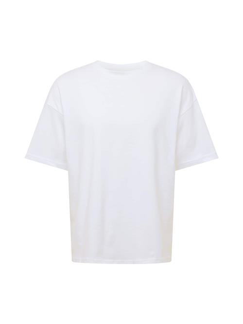 WEEKDAY Bluser & t-shirts 'Great'  pastelgrøn / hvid