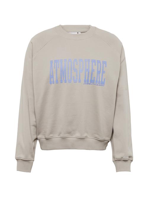 Se WEEKDAY Sweatshirt  blå / grå ved About You