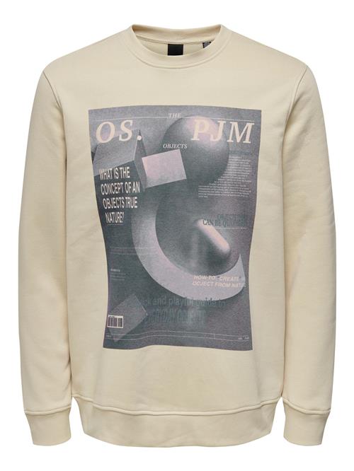 Se Only & Sons Sweatshirt  beige / grå ved About You