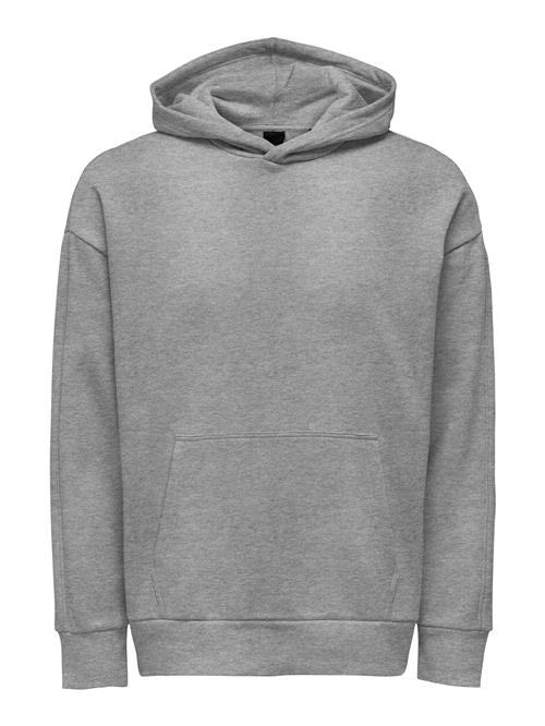 Se Only & Sons Sweatshirt 'Dan'  grå-meleret ved About You