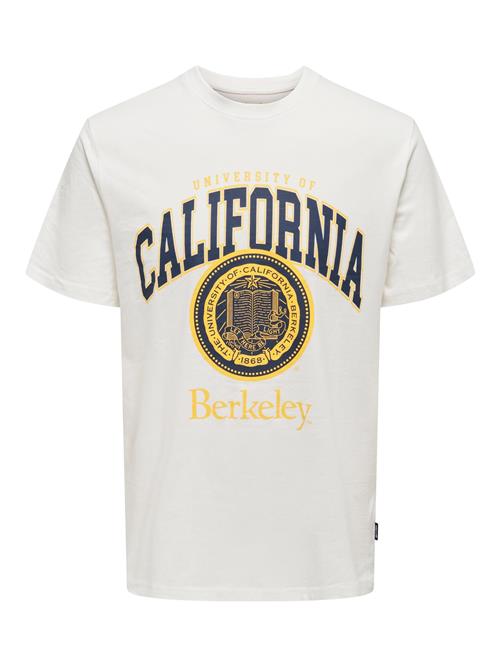 Only & Sons Bluser & t-shirts 'Berkeley'  navy / gul / hvid