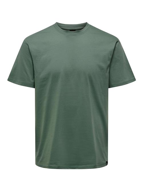 Only & Sons Bluser & t-shirts 'MAX'  gran