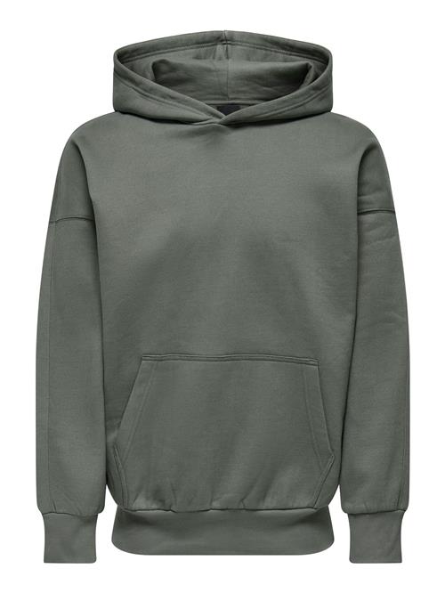 Only & Sons Sweatshirt 'Dan'  gran