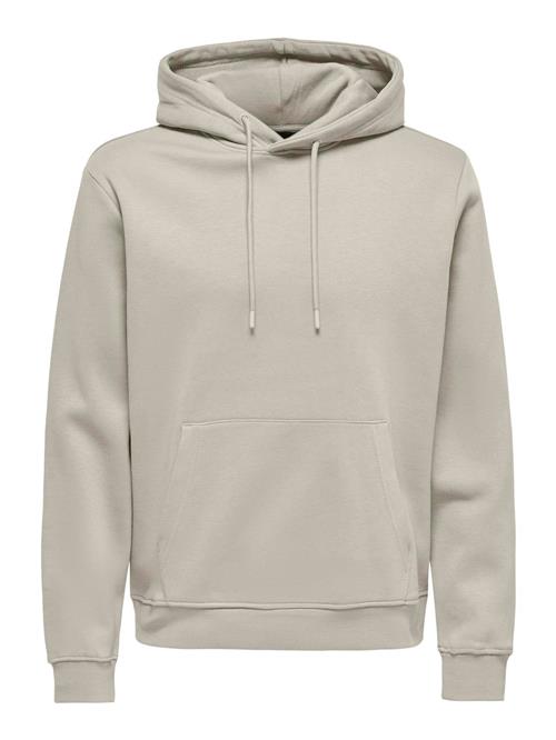 Only & Sons Sweatshirt 'ONSCONNOR'  grå