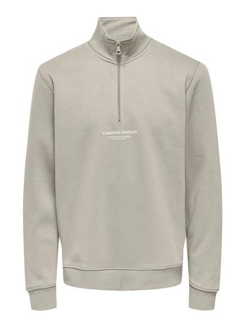 Se Only & Sons Sweatshirt 'ONSCURATED'  lysegrå / hvid ved About You