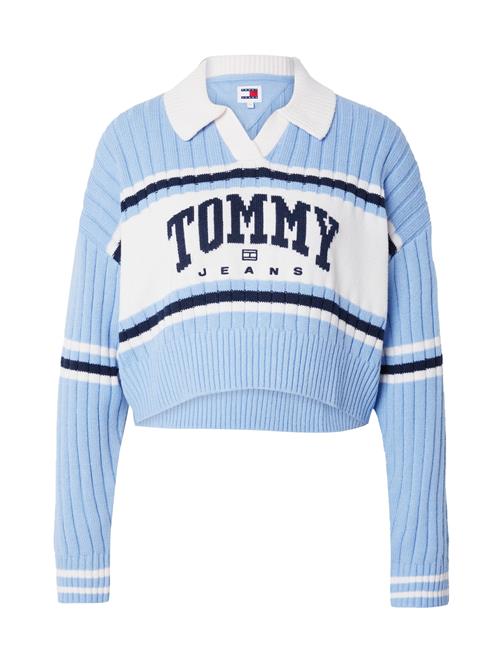 Tommy Jeans Pullover  navy / lyseblå / hvid