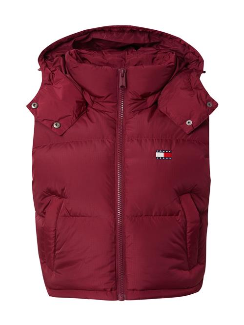 Tommy Jeans Vest 'ALASKA'  bær