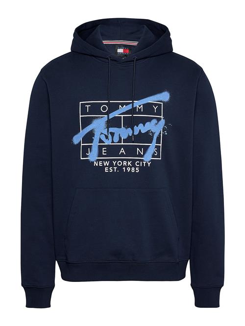 Tommy Jeans Sweatshirt  navy / lyseblå / hvid