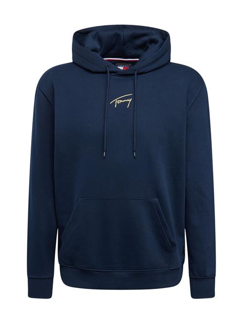 Tommy Jeans Sweatshirt  navy / guld