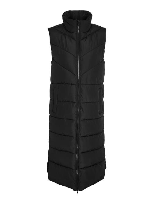 Noisy may Vest 'Dalcon'  sort