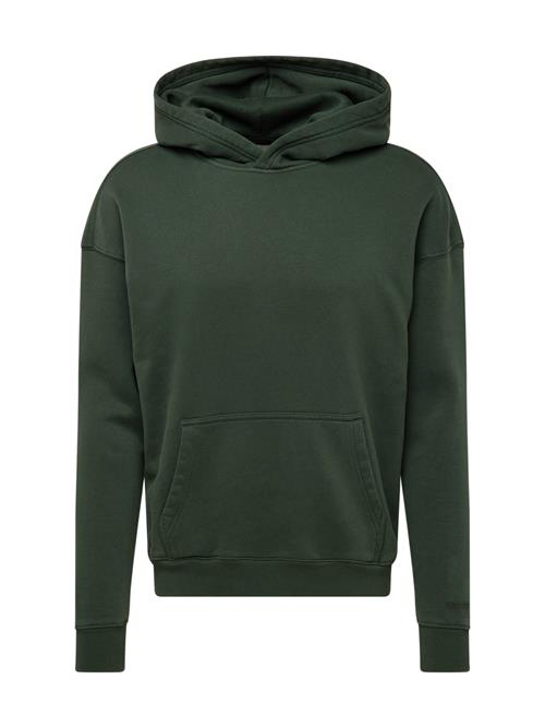 HOLLISTER Sweatshirt  mørkegrøn