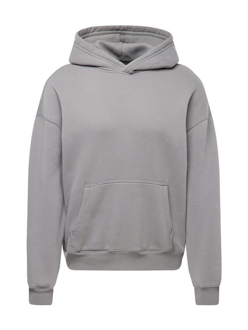 HOLLISTER Sweatshirt  grå