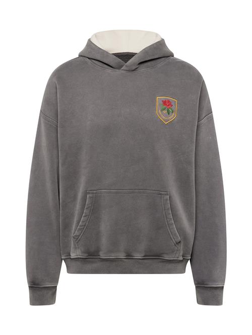 Abercrombie & Fitch Sweatshirt  curry / grå / grøn / rød