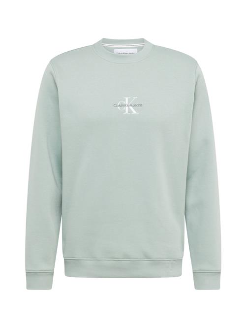 Calvin Klein Jeans Sweatshirt  stone / pastelgrøn / hvid