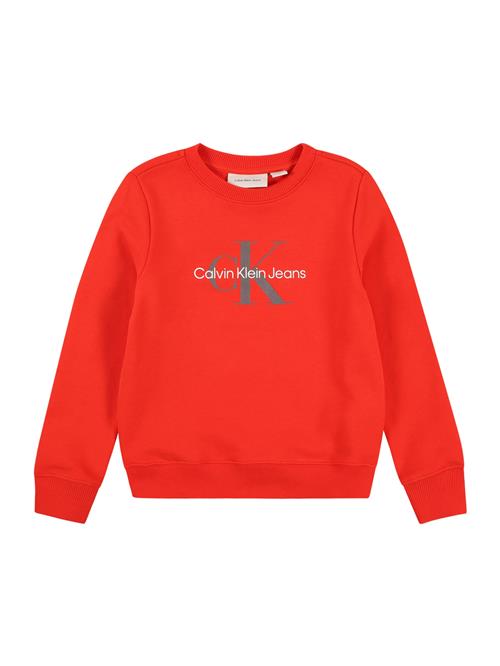 Calvin Klein Jeans Sweatshirt  mørkegrå / rød / hvid