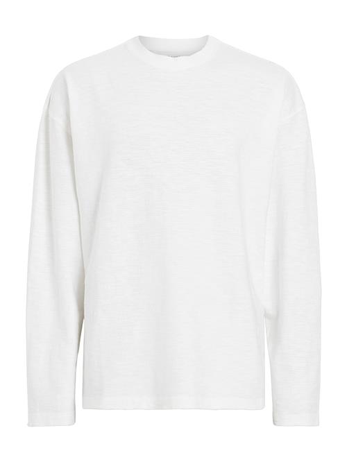 AllSaints Bluser & t-shirts 'ASPEN'  hvid