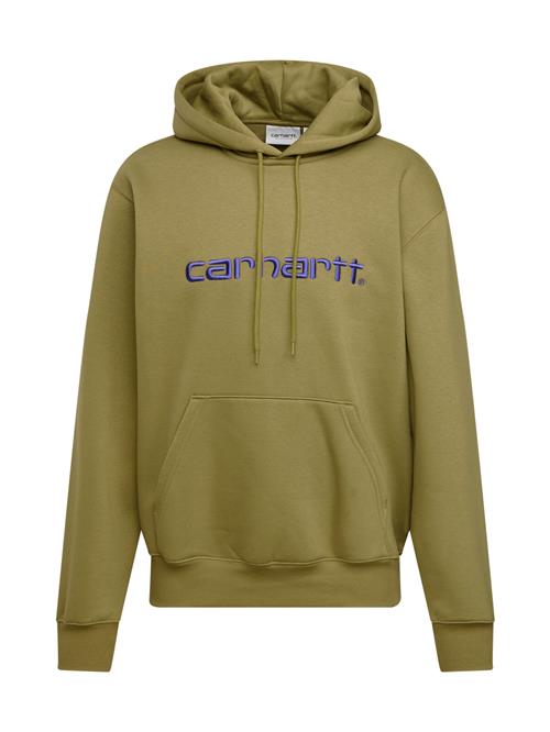 Carhartt WIP Sweatshirt  marin / oliven