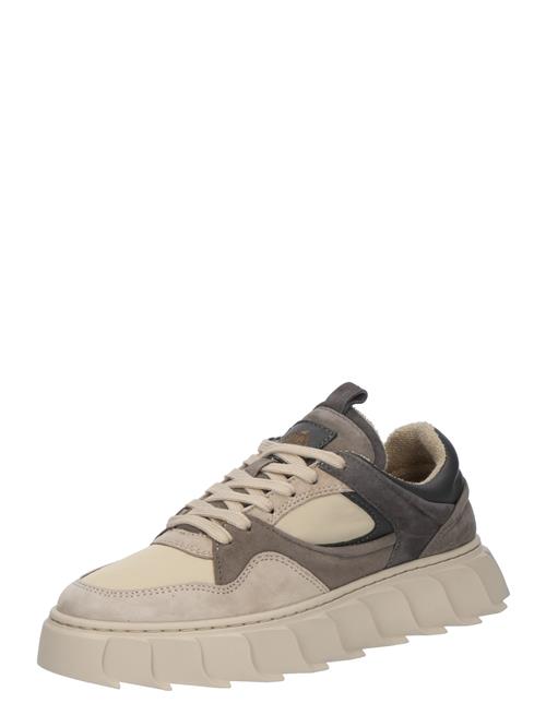 Apple of Eden Sneaker low 'AW24-LIMA 28'  beige / grå / grafit