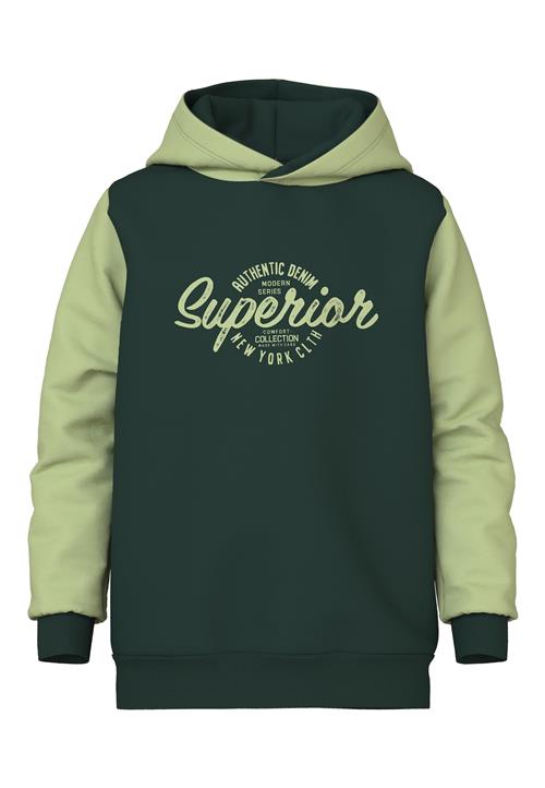 NAME IT Sweatshirt 'VEBLOCK'  æble / mørkegrøn