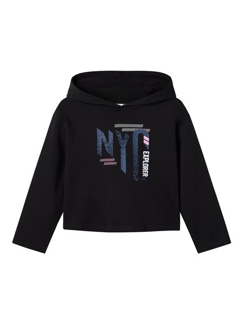 NAME IT Sweatshirt 'NKFViala'  safir / lilla / sort / hvid