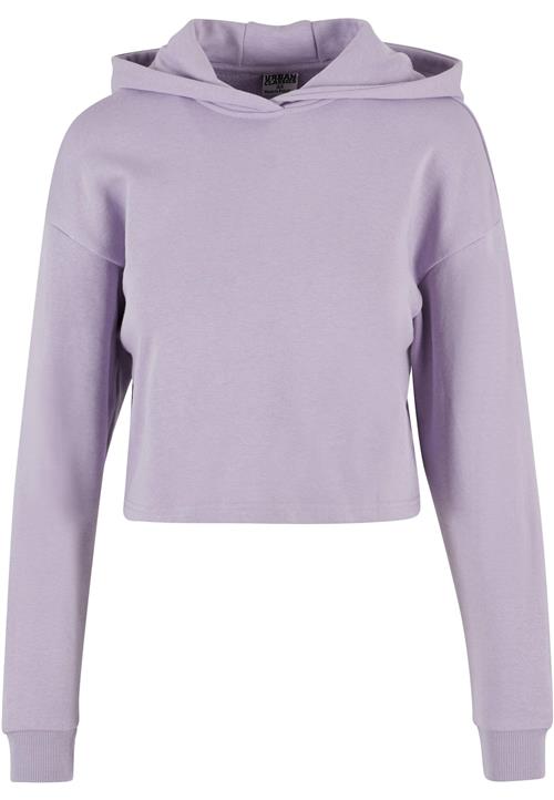 Urban Classics Sweatshirt  lyselilla