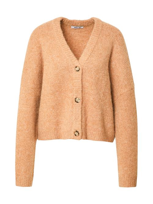 Se ABOUT YOU Cardigan 'Leoni'  brun ved About You