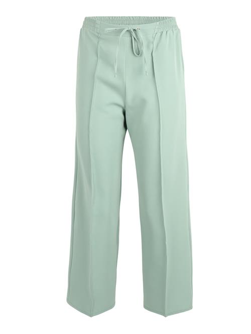 Se Dorothy Perkins Petite Bukser med fals  mint ved About You