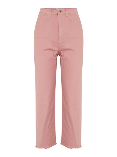 Dorothy Perkins Petite Jeans  lys pink