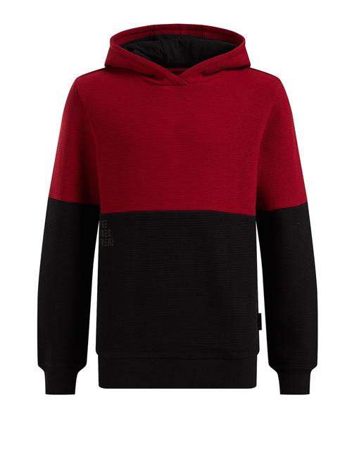 Se WE Fashion Sweatshirt  bordeaux / mørkerød ved About You