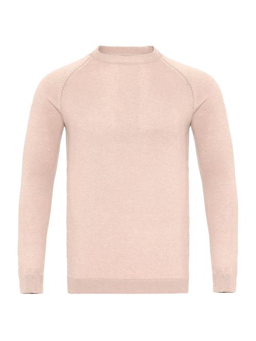 Se Antioch Pullover  beige ved About You