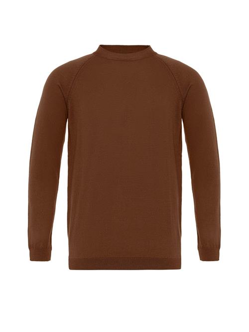 Se Antioch Pullover  brun ved About You