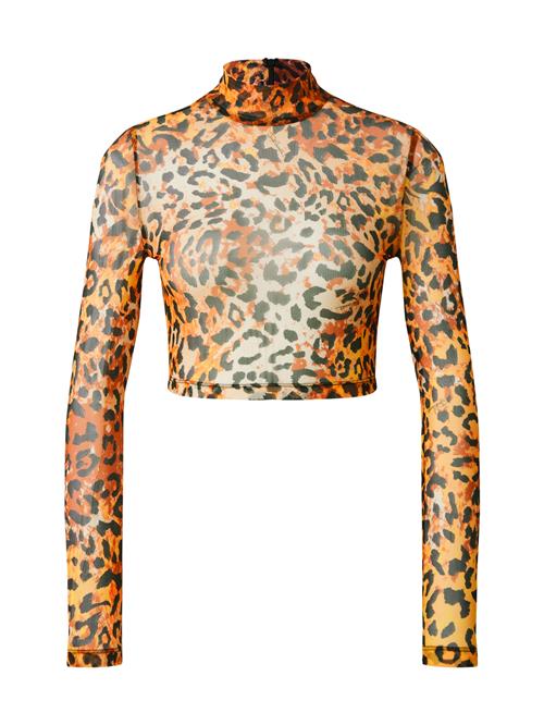 Se Just Cavalli Shirts  cognac / lysebrun / sort ved About You