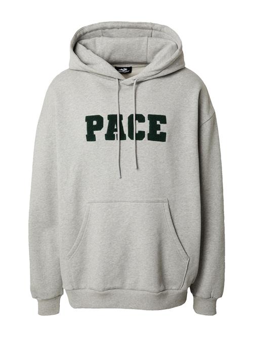 Se Pacemaker Sweatshirt 'Lennox'  grå-meleret / mørkegrøn ved About You