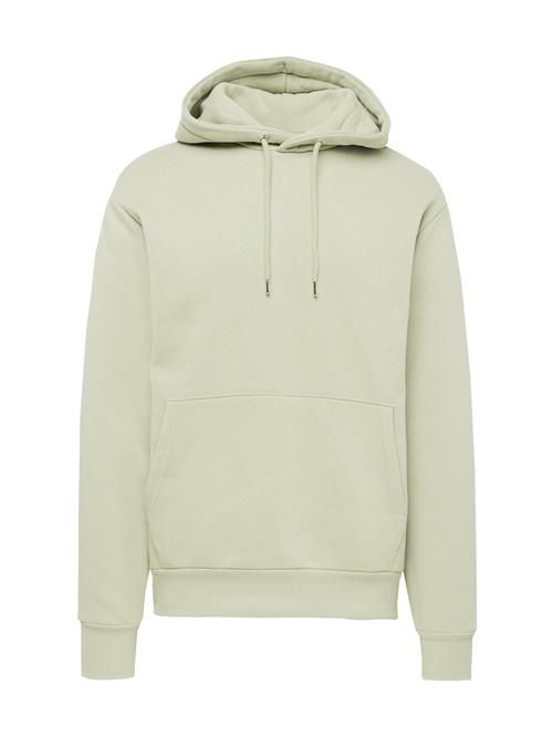 Se SELECTED HOMME Sweatshirt 'DAN'  pastelgrøn ved About You