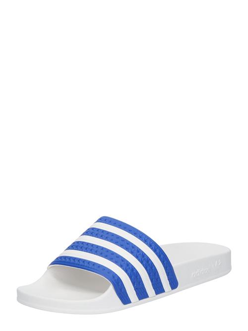 ADIDAS ORIGINALS Pantoletter 'Adilette'  blå / hvid